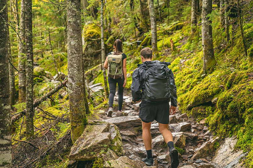 Out And Back Trail