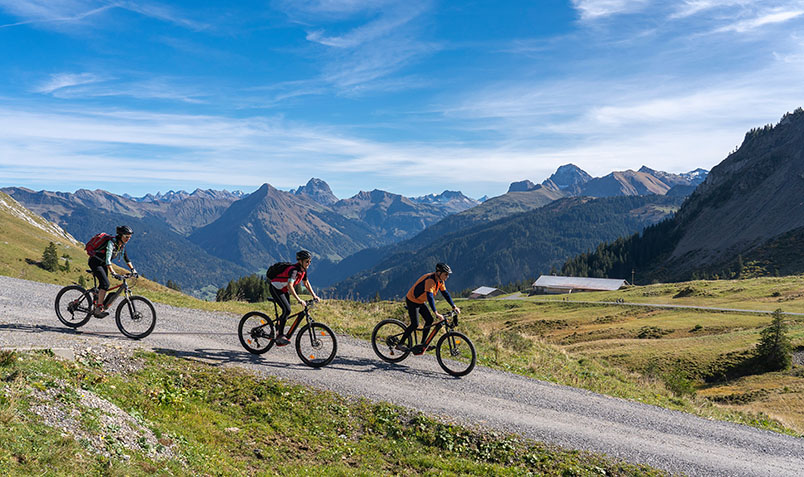 Mountain Bike vs Road Bike Speed